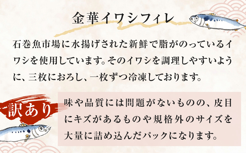訳あり 金華 イワシ フィレ 1.5kg ( 500g × 3P ) 宮城県産 いわし 鰯 フィーレ 冷凍 魚 青魚 切身 わけあり 規格外 ご家庭用 国産 鰯フィレ イワシフィーレ 切り身 バラバラ冷凍 宮城県 石巻市
