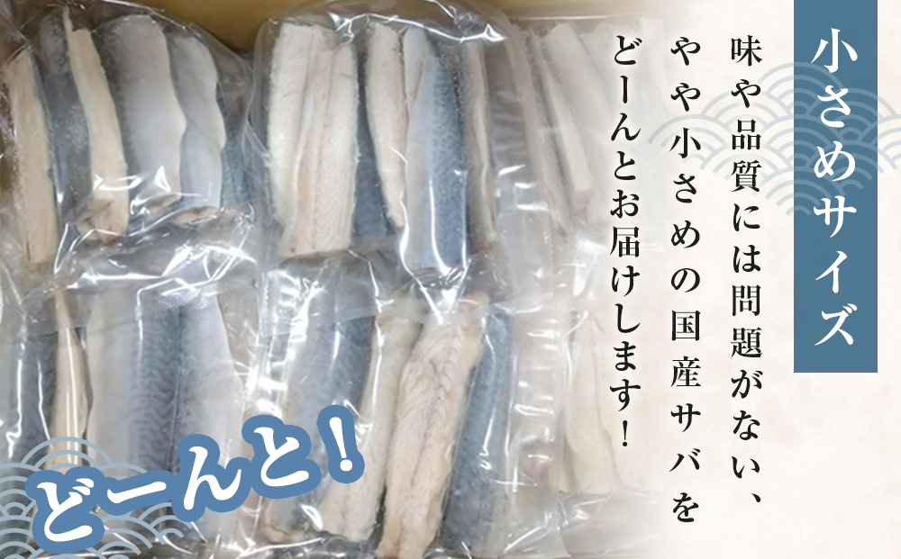 小さな 国産 塩サバ 3kg ( 200g × 15パック ) 冷凍 サバ 鯖 魚 青魚 塩さば 切り身 ご家庭用 焼き魚 焼魚 おかず お弁当 焼くだけ 簡単調理 サバ フィレ 鯖フィレ サバフィーレ 切身 宮城県 石巻 石巻市