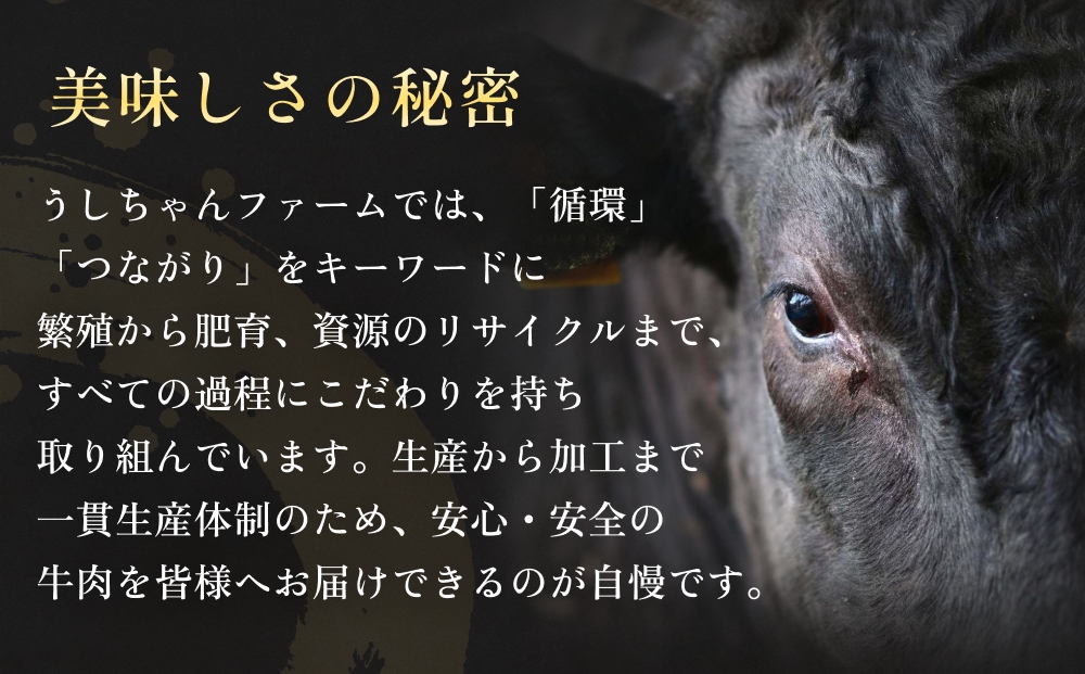 ããã¡ãããã¡ãŒã ã®ç³å·»é»éåç 3çš® ã®ããã»ããïŒãµãŒãã€ã³ã¹ããŒã/äžããŒã¹èåã/黿¯åçãã³ããŒã°ïŒ