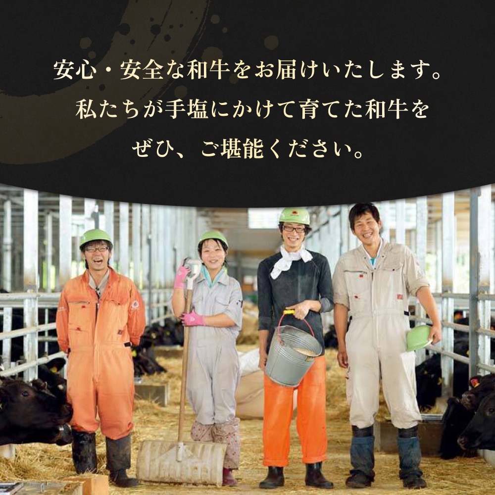 ããã¡ãããã¡ãŒã ã®ç³å·»é»éåç 3çš® ã®ããã»ããïŒãµãŒãã€ã³ã¹ããŒã/äžããŒã¹èåã/黿¯åçãã³ããŒã°ïŒ