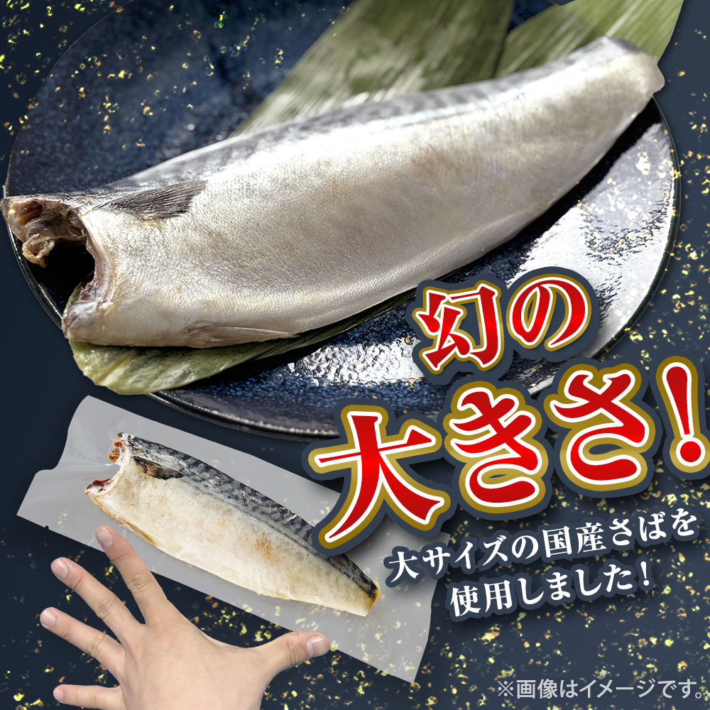 国産 塩さば フィーレ 約160～200g 10枚 サバフィレ 鯖 サバ さば フィレ 切り身 塩サバ 特大 バラ凍結 冷凍 魚 魚介