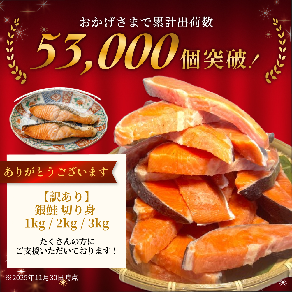 【訳あり】鮭 銀鮭 切り身 3kg 数量限定 鮭 海鮮 規格外 不揃い さけ サケ 鮭切身 シャケ 鮭切り身 冷凍 家庭用 訳アリ おかず 弁当  サーモン 魚 焼き魚 塩鮭 宮城 石巻 宮城県 石巻市 送料無料