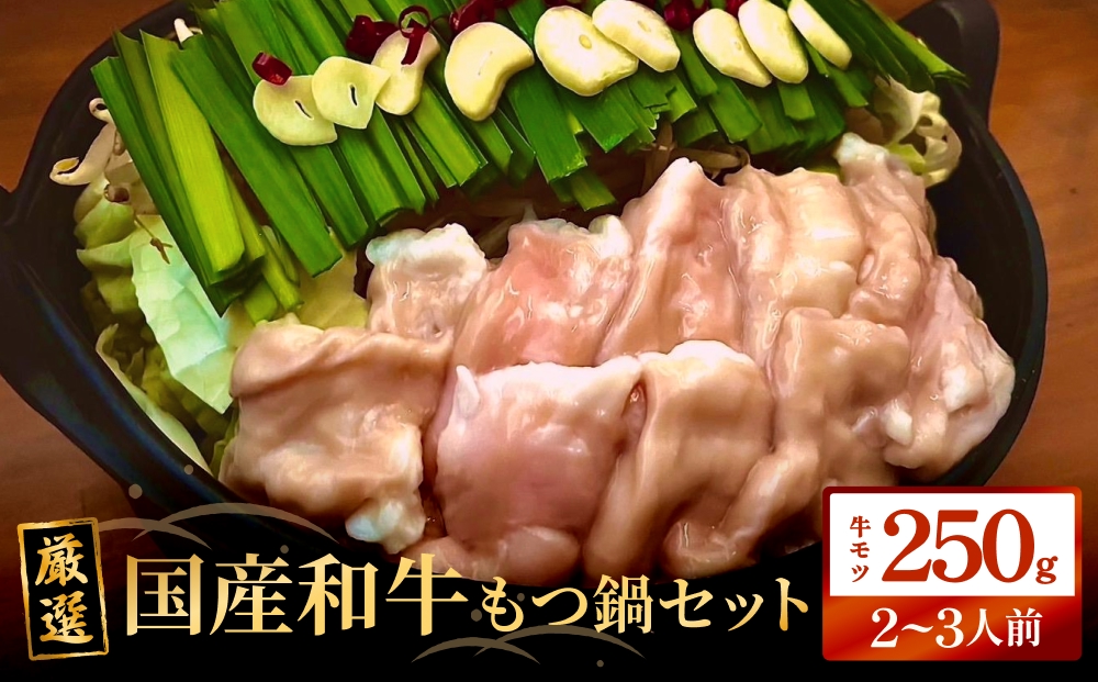 もつ鍋セット（2-3人前）国産 国産牛 牛もつ鍋 もつ鍋 鍋 牛モツ 和牛モツ ホルモン 鍋セット 2-3人前 ご当地グルメ お取り寄せ 宮城県 宮城 石巻市 石巻