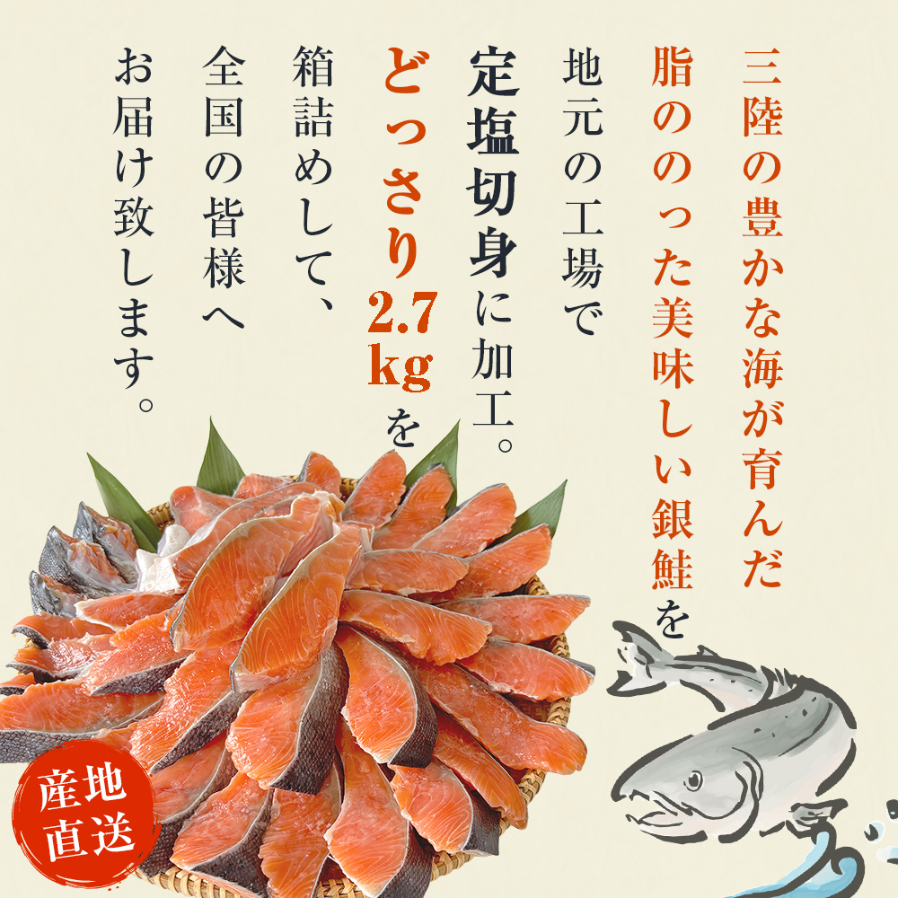 《訳あり》 産地直送！ どっさり 2.7kg！ 国産銀鮭 定塩切身 冷凍 鮭 サーモン 鮭 銀鮭 国産 鮭切身 不揃い 大容量 ご家庭用 サーモン 塩鮭 しゃけ シャケ 焼き魚 宮城県 石巻市 魚介類 魚 海産物 さけ 焼魚 おかず おつまみ 簡易包装