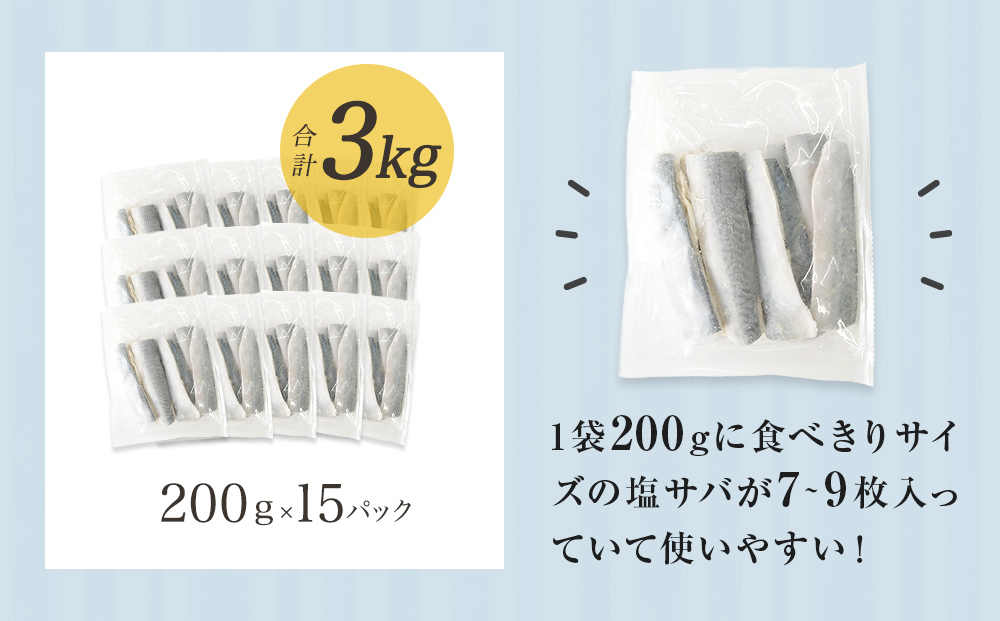小さな 国産 塩サバ 3kg ( 200g × 15パック ) 冷凍 サバ 鯖 魚 青魚 塩さば 切り身 ご家庭用 焼き魚 焼魚 おかず お弁当 焼くだけ 簡単調理 サバ フィレ 鯖フィレ サバフィーレ 切身 宮城県 石巻 石巻市