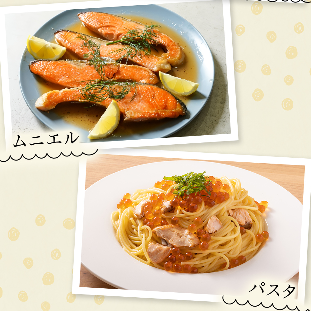 《訳あり》 産地直送！ どっさり 2.7kg！ 国産銀鮭 定塩切身 冷凍 鮭 サーモン 鮭 銀鮭 国産 鮭切身 不揃い 大容量 ご家庭用 サーモン 塩鮭 しゃけ シャケ 焼き魚 宮城県 石巻市 魚介類 魚 海産物 さけ 焼魚 おかず おつまみ 簡易包装