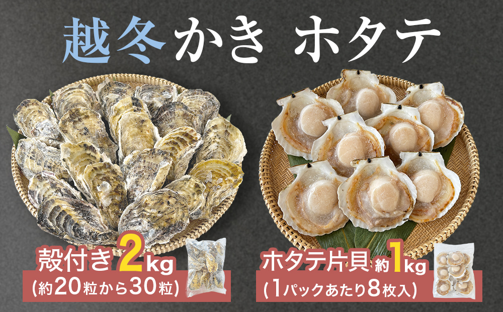 ホタテ片貝 越冬殻付かき 贅沢セット 加熱用 牡蠣 かき カキ 帆立 ホタテ ほたて 片貝 殻付き 殻つき 貝柱 貝 海鮮 魚介 魚介類 宮城県産 新鮮 急速冷凍 濃厚 宮城県 石巻市