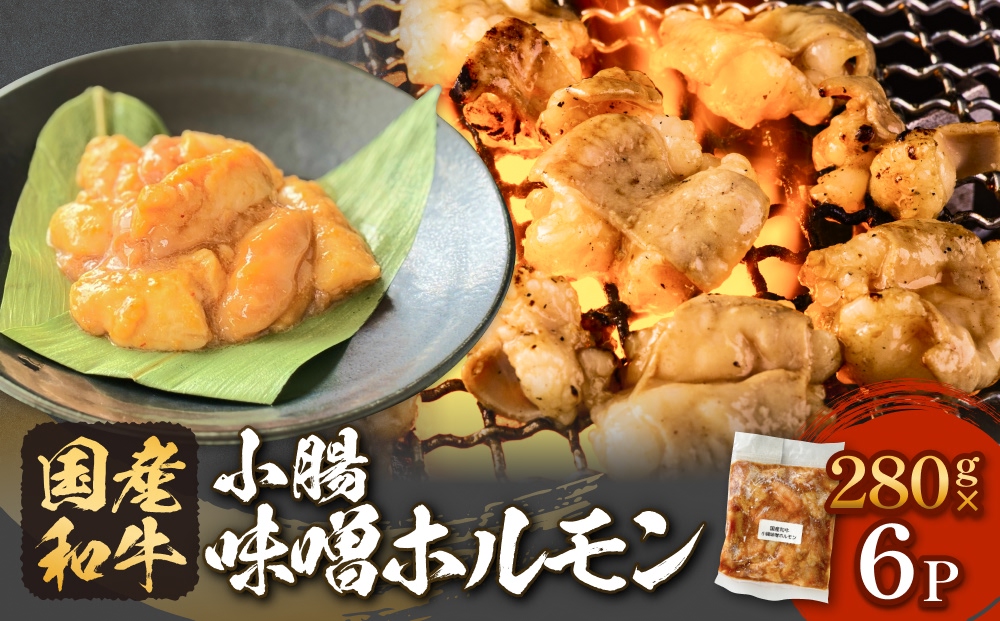 国産和牛 味噌 ホルモン 6P 味噌ホルモン 牛ホルモン 小腸 国産 宮城県産 味付 モツ 和牛 肉 お肉 牛肉 牛 内臓 宮城県 石巻市