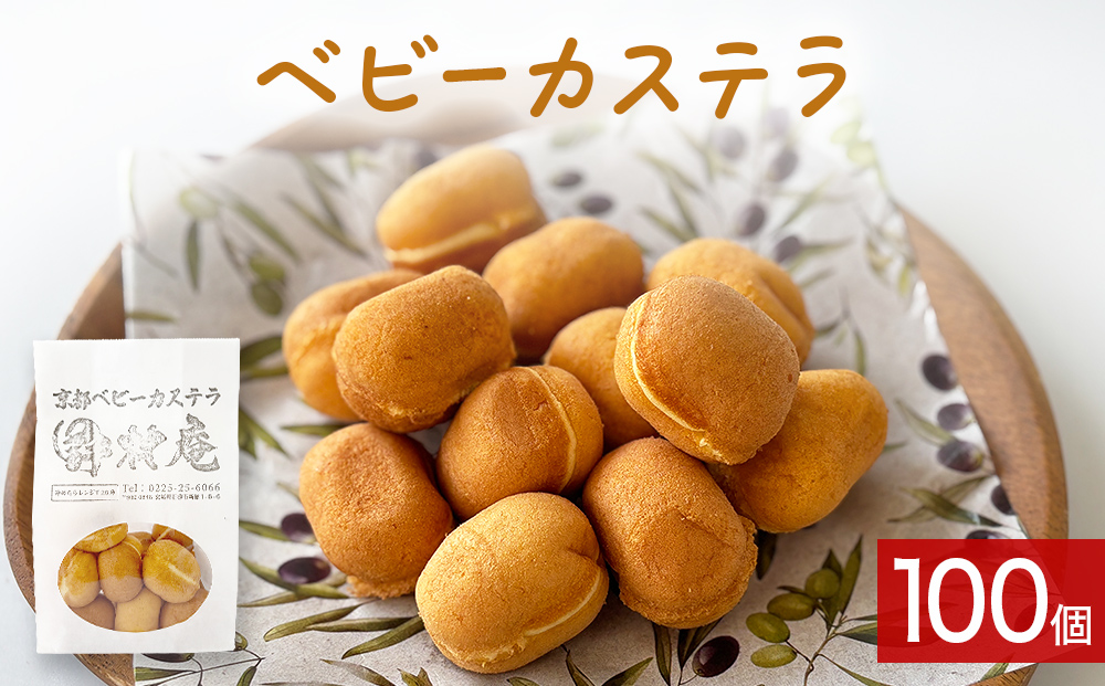 ベビーカステラ 100個 カステラ お菓子 スイーツ おやつ 焼菓子 和菓子 プレーン 冷凍 ふんわり 甘さ控えめ 小さい ミニサイズ