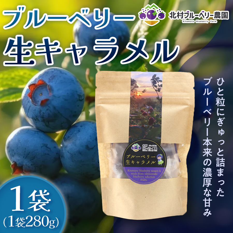 ＜ 先行予約 ＞ ブルーベリー 生キャラメル 280g 無添加 摘みたて 自然栽培 手作り 果実 100% キャラメル アントシアニン トッピング 石巻市産 宮城県 石巻市