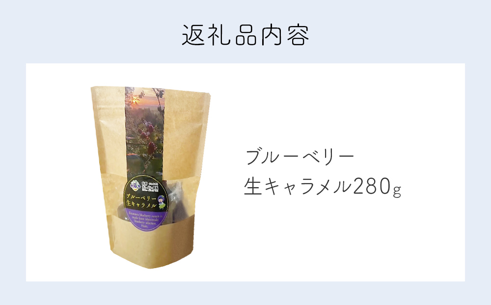 ＜ 先行予約 ＞ ブルーベリー 生キャラメル 280g 無添加 摘みたて 自然栽培 手作り 果実 100% キャラメル アントシアニン トッピング 石巻市産 宮城県 石巻市