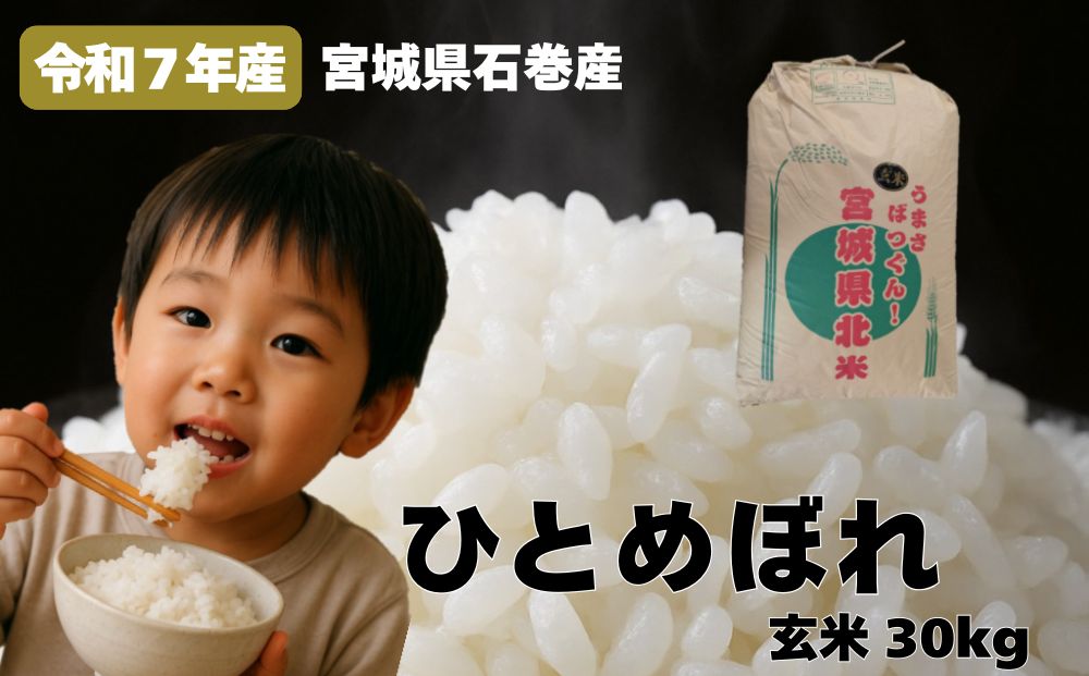 米 ひとめぼれ 玄米 30kg 令和7年産 ヒトメボレ お米 ごはん ご飯 30キロ 産地直送 米処 美味しい おこめ こめ さっぱり