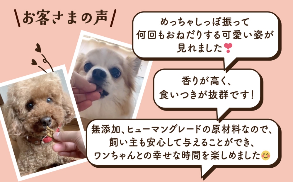 ワンちゃんのおやつ 鶏 ４袋 鶏肉 ドッグフード 犬 おやつ 無添加 グルテンフリー 国産 