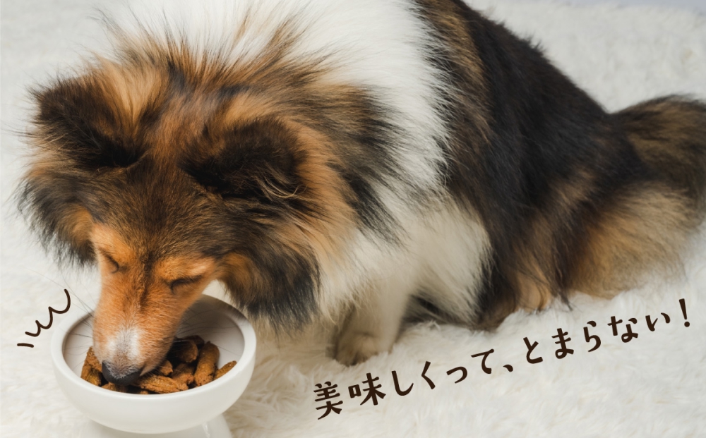 ワンちゃんのおやつ 牛 12袋 ドッグフード 犬 おやつ 無添加 グルテンフリー 国産
