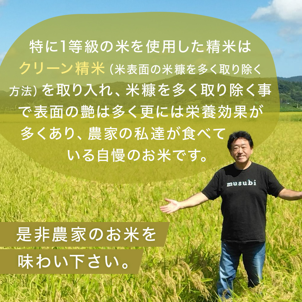 ç±³ æ°ç±³ ã²ãšããŒã ç°å¢ä¿å
šç±³ 5kg ãç±³ ã飯 ãã ã³ã¡ ããã ããã¡ã㬠宮åç ç³å·»åž æ¡ççºç£