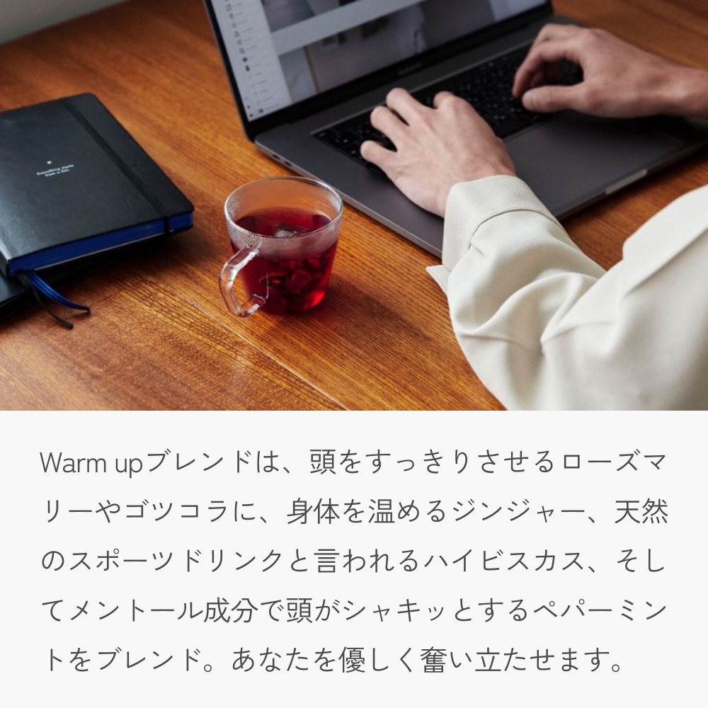 クラフト ハーブティー 「♯ Warm up 高めるためのブレンド」 5個 daytune. tea 【 ノンカフェイン 有機 無農薬 】 ティーバッグ 個包装入り ティー 紅茶