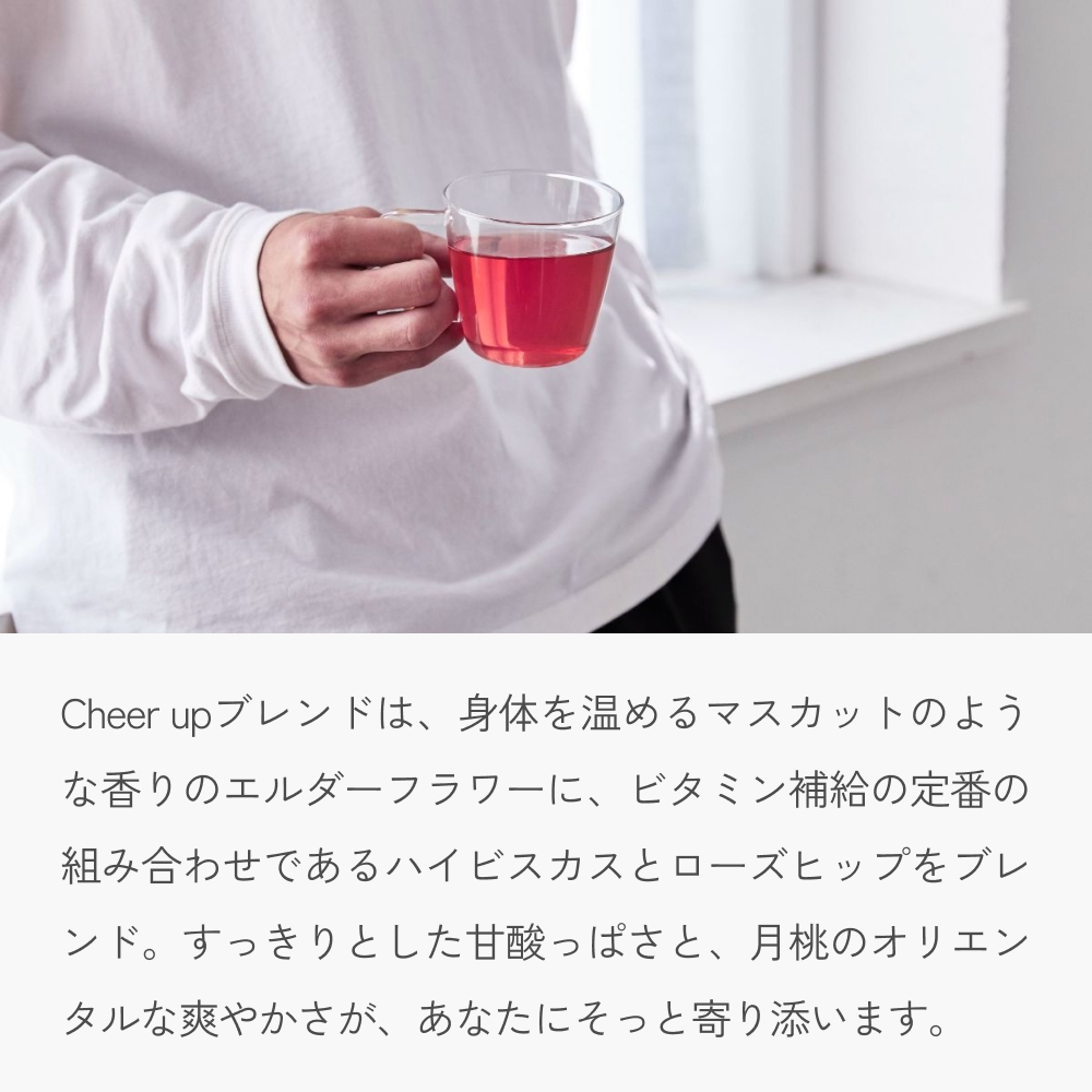 クラフト ハーブティー 「♯ Cheer up 前向きになるためのブレンド」 5個 daytune. tea 【 ノンカフェイン 有機 無農薬 】 ティーバッグ 個包装入り ティー 紅茶
