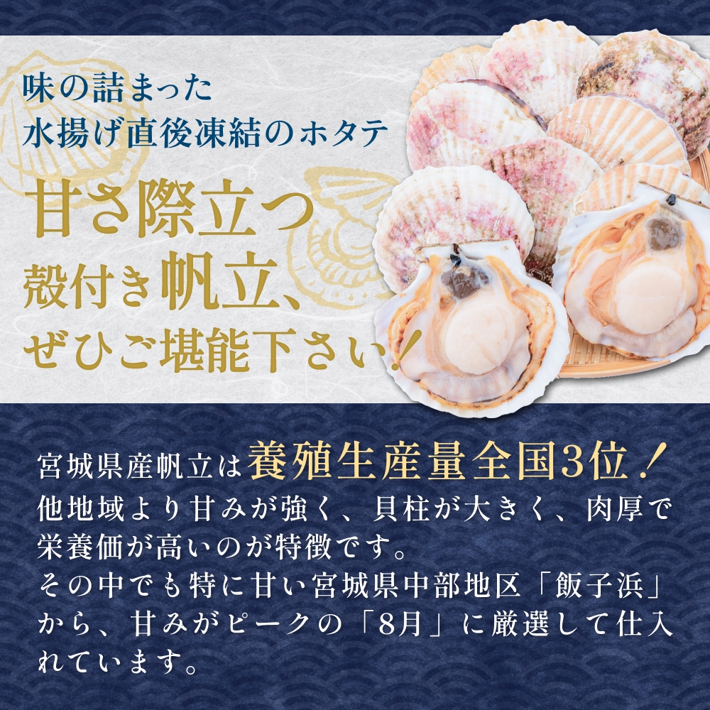 ãå·åã»çé£çšã æ®»ä»ãåžç« 10æ åžç« ãã¿ã ã»ã㊠殻ä»ã çé£ çé£çš èå