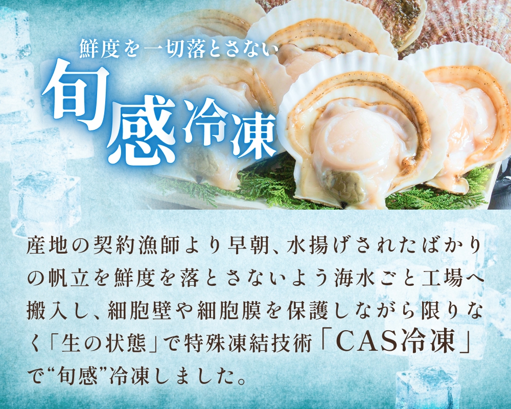 【冷凍・生食用】 殻付き帆立 10枚 帆立 ホタテ ほたて 殻付き 生食 生食用 肉厚