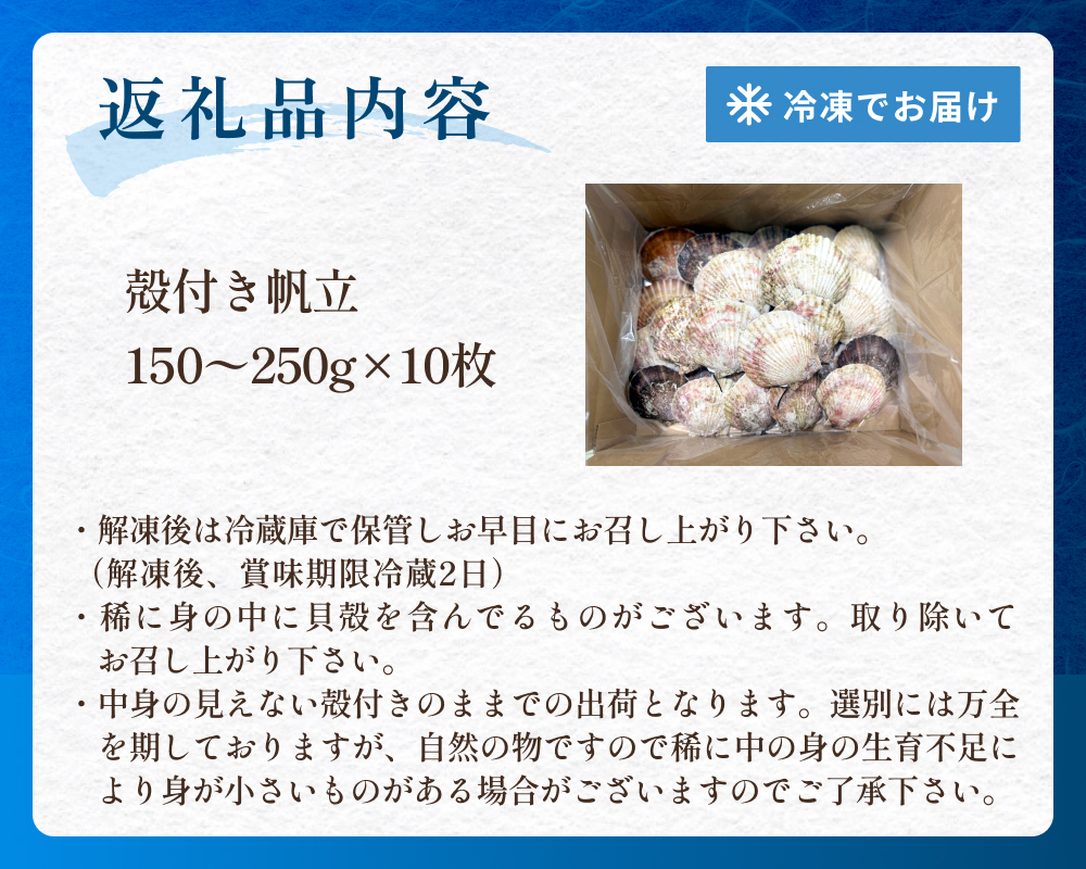 【冷凍・生食用】 殻付き帆立 10枚 帆立 ホタテ ほたて 殻付き 生食 生食用 肉厚