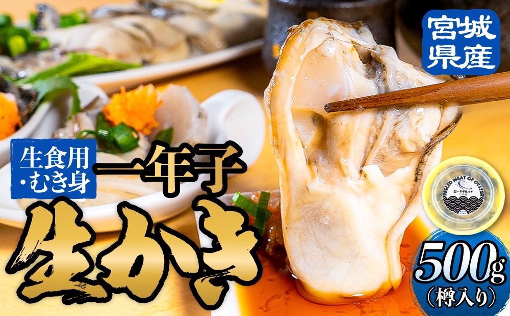 【宮城県産 生食用牡蠣】 一年子生カキ むき身 500g かき カキ 剥き身 生牡蠣 プリプリ 濃厚
