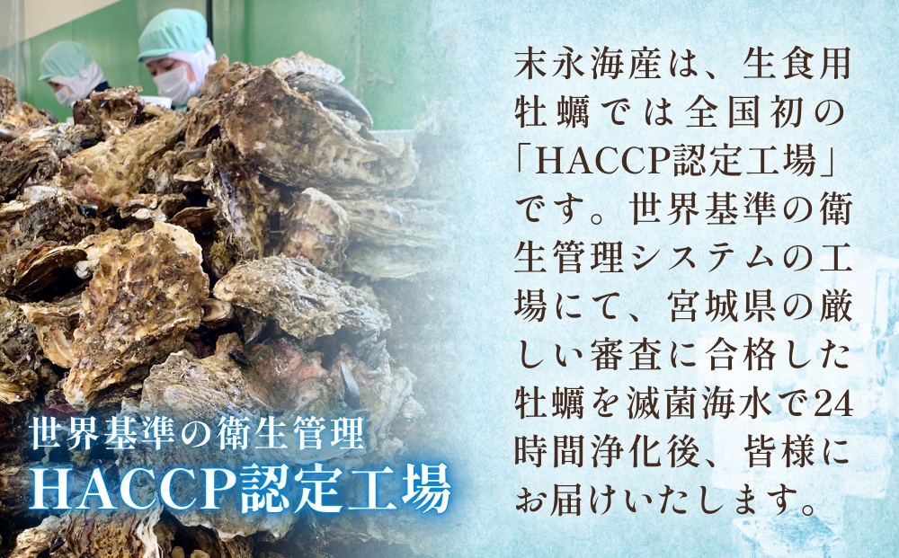 宮城県産 生食用牡蠣 一年子生カキ むき身 1kg かき カキ 剥き身 生牡蠣 プリプリ 濃厚