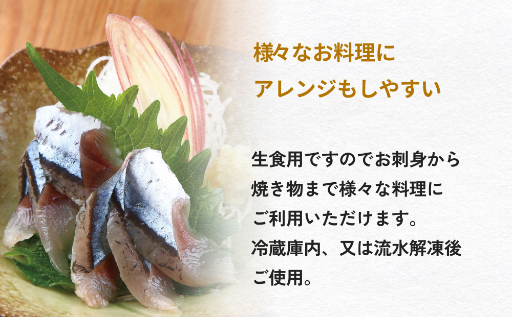 大とろいわし さんま 欲張り セット フィーレ フィレ イワシ いわし 鰯 秋刀魚 サンマ 魚介 魚介類 海鮮 新鮮 冷凍 石巻市産 宮城県 石巻市