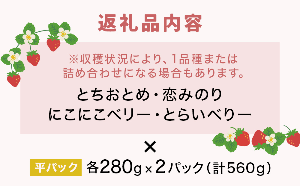 【2026年1月中旬発送開始】 いちご とちおとめ 恋みのり にこにこベリー とらいべりー 280g × 2  平パック 苺 イチゴ フルーツ 果物 ストロベリー ベリー デザート 甘み 酸味 宮城県 石巻市