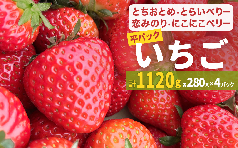 【2026年1月中旬発送開始】 いちご とちおとめ 恋みのり にこにこベリー とらいべりー 280g × 4  平パック 苺 イチゴ フルーツ 果物 ストロベリー ベリー デザート 甘み 酸味 宮城県 石巻市