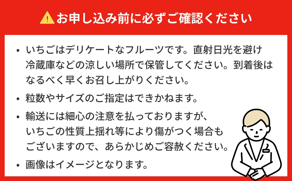 【2026年1月中旬発送開始】 いちご とちおとめ 恋みのり にこにこベリー とらいべりー 250g × 4  苺 イチゴ フルーツ 果物 ストロベリー ベリー デザート 甘み 酸味 宮城県 石巻市