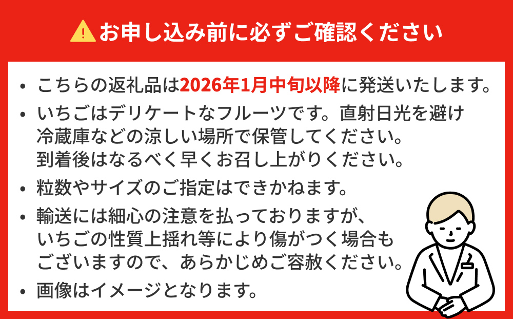 【2026年1月中旬発送開始】 いちご とちおとめ 恋みのり にこにこベリー とらいべりー 250g × 4  苺 イチゴ フルーツ 果物 ストロベリー ベリー デザート 甘み 酸味 宮城県 石巻市
