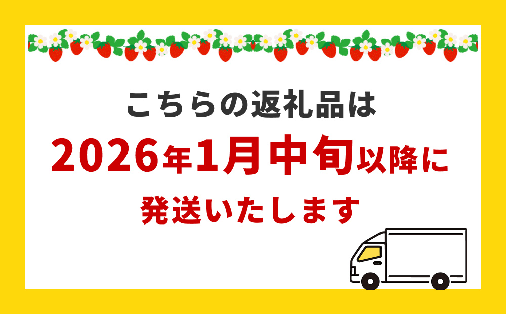 【2026年1月中旬発送開始】 いちご とちおとめ 恋みのり にこにこベリー とらいべりー 250g × 4  苺 イチゴ フルーツ 果物 ストロベリー ベリー デザート 甘み 酸味 宮城県 石巻市