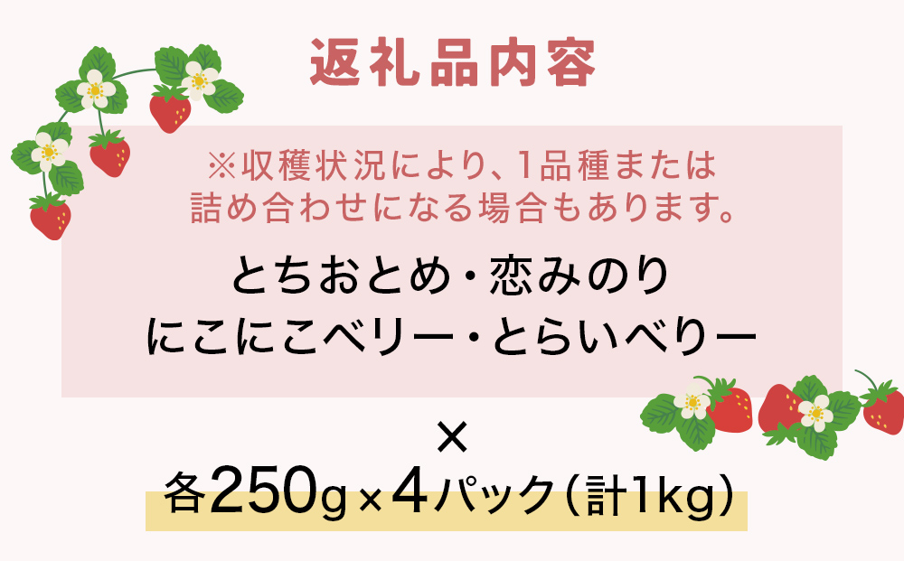 【2026年1月中旬発送開始】 いちご とちおとめ 恋みのり にこにこベリー とらいべりー 250g × 4  苺 イチゴ フルーツ 果物 ストロベリー ベリー デザート 甘み 酸味 宮城県 石巻市