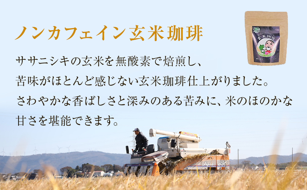 玄米珈琲ティーバッグ 4.5g×8包入り 3袋