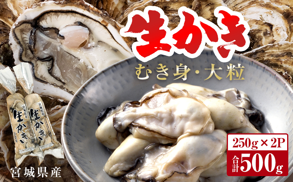 牡蠣 宮城県産 生かき むき身 大粒 生牡蠣 生食 加熱 カキ 魚介 魚介類 海鮮