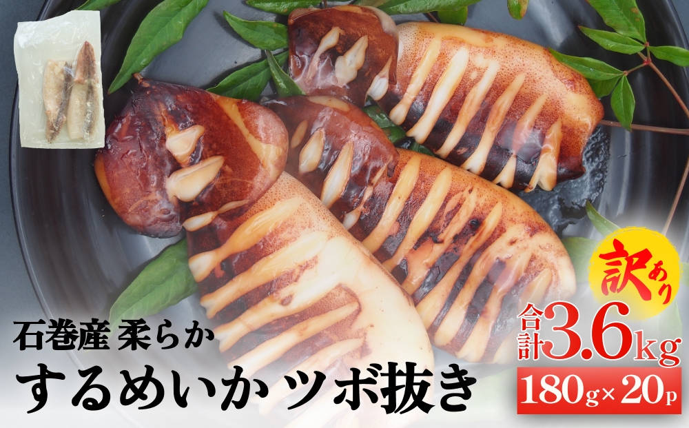訳あり 石巻産 柔らか するめいか ツボ抜き 180g × 20P