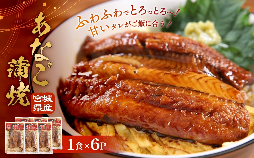 宮城県産 あなご 蒲焼 （1食）6パック入 冷凍 小分け 穴子 アナゴ 蒲焼き 魚 お魚 丼 寿司 おかず