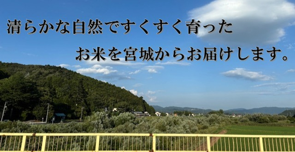 米 ひとめぼれ 玄米 30kg 令和7年産 ヒトメボレ お米 ごはん ご飯 30キロ 産地直送 米処 美味しい おこめ こめ さっぱり 防災減災