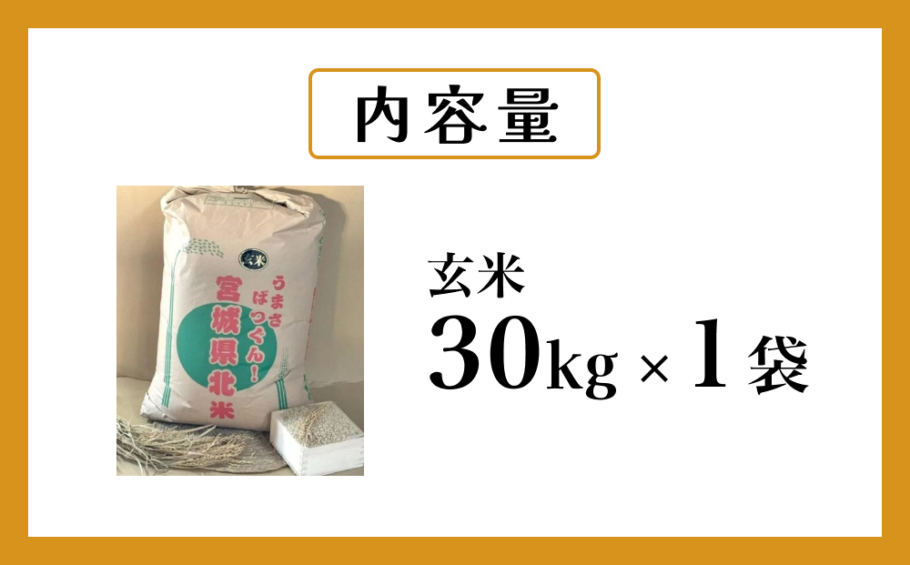 米 ひとめぼれ 玄米 30kg 令和7年産 ヒトメボレ お米 ごはん ご飯 30キロ 産地直送 米処 美味しい おこめ こめ さっぱり 防災減災