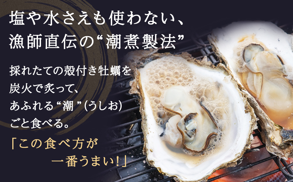 牡蠣 宮城県産 牡蠣の潮煮 130g 10個セット 1.3kg 農林水産大臣賞受賞 冷凍 宮城 カキ かき むき身 おつまみ パウチ レトルト 食品 惣菜 和風惣菜 簡単調理 時短調理 そのまま食べれる お取り寄せ 送料無料 宮城県 石巻 石巻市 防災減災