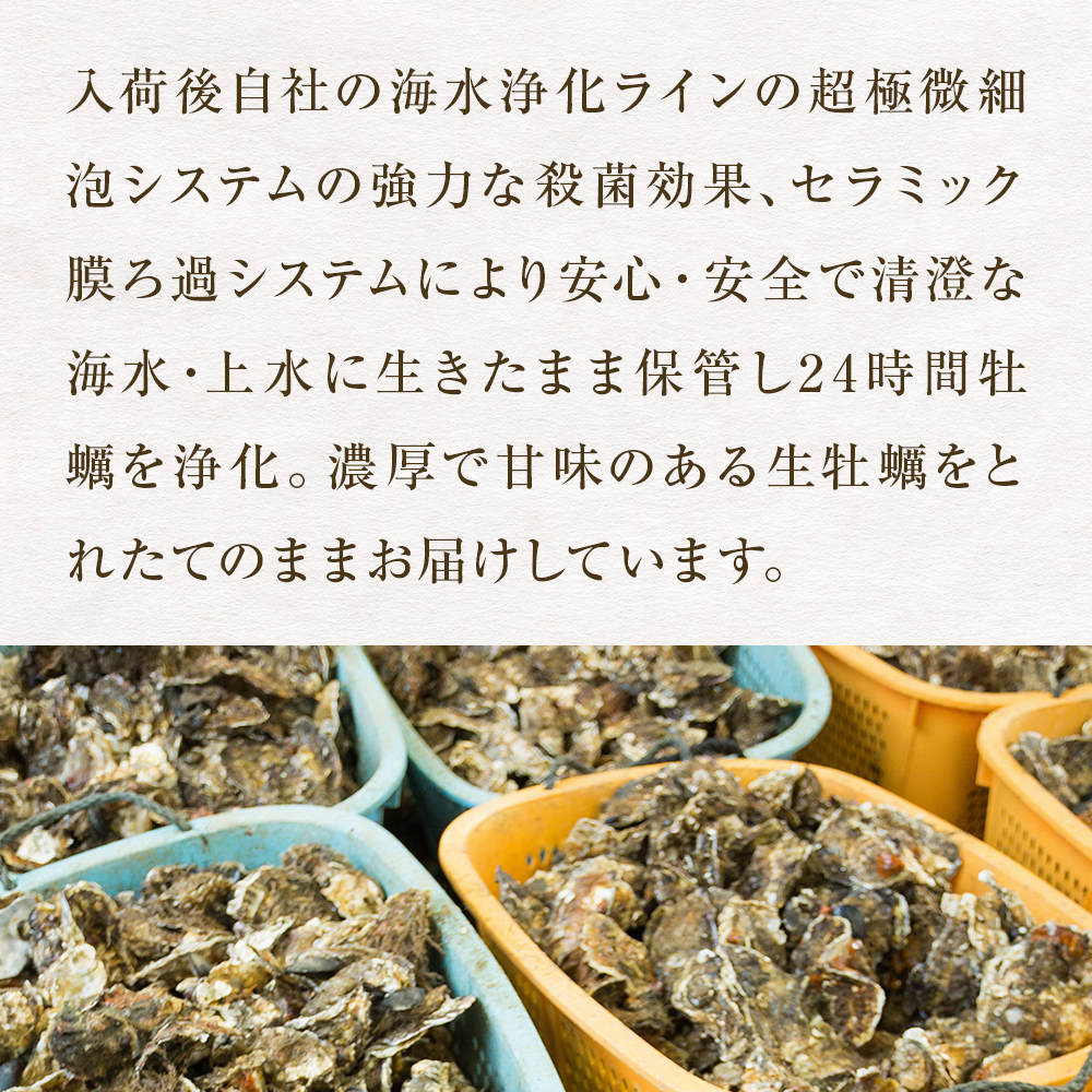 牡蠣 殻付き 生食 可 15個（5個入×3袋） 宮城県産 冷凍 小分け カキ かき オイスター 魚介類 海産物 海鮮 生牡蠣 蒸し牡蠣 生かき 厳選 濃厚 大粒 BBQ バーベキュー 浜焼き 海鮮焼き レンジ 調理 宮城 石巻 宮城県 石巻市 防災減災