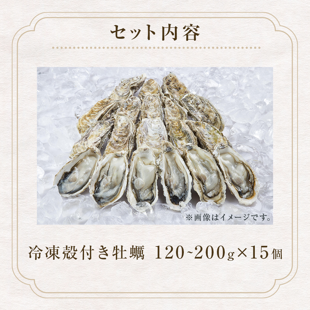 牡蠣 殻付き 生食 可 15個（5個入×3袋） 宮城県産 冷凍 小分け カキ かき オイスター 魚介類 海産物 海鮮 生牡蠣 蒸し牡蠣 生かき 厳選 濃厚 大粒 BBQ バーベキュー 浜焼き 海鮮焼き レンジ 調理 宮城 石巻 宮城県 石巻市 防災減災