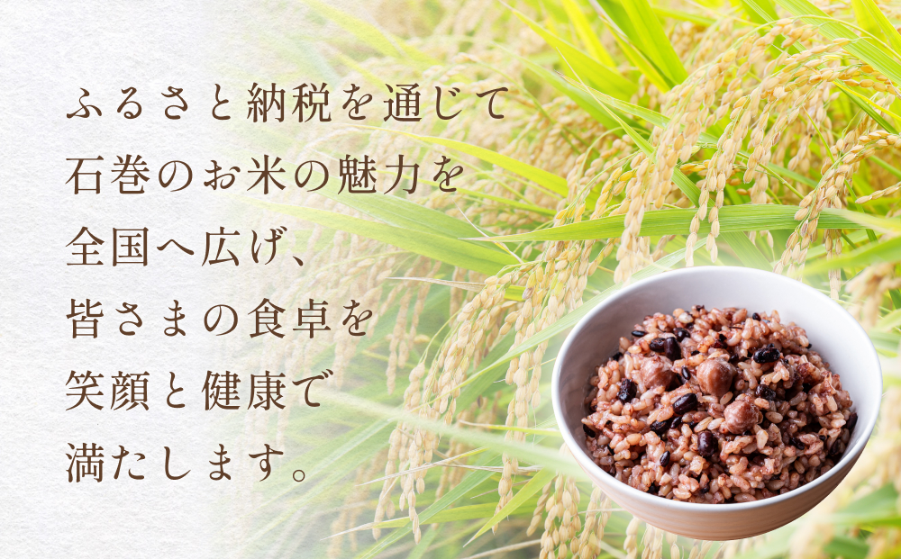 【常温】3日熟成発芽発酵玄米ご飯パック 12食 幻の米@石巻産ササニシキごはん
