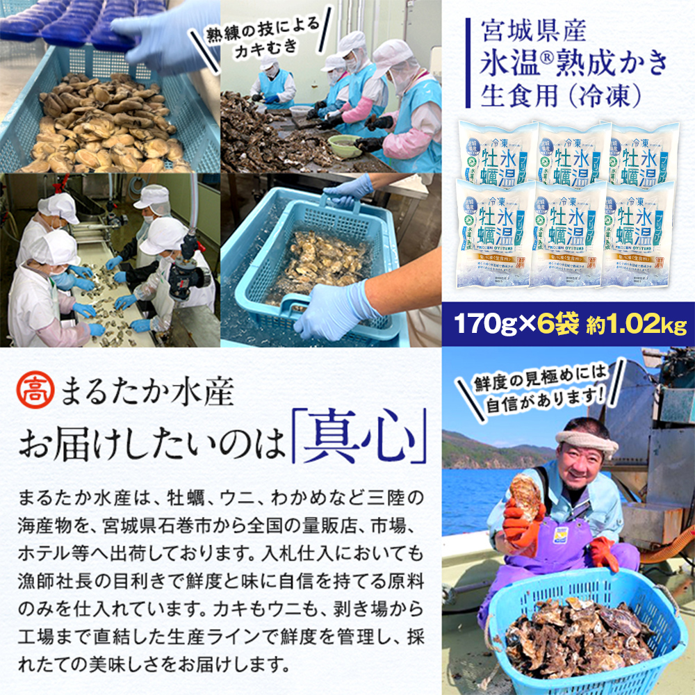 牡蠣  170g×6袋 (約1kg) 氷温熟成 冷凍牡蠣 生食用 宮城県産 ｜生食 生で食べられる 牡蠣 小分け 冷凍かき 冷凍カキ 冷凍牡蠣 かきむき身 カキむき身 牡蠣むき身 生かき 生カキ 生牡蠣 冷凍かき 冷凍カキ 冷凍牡蠣 かきむき身 カキむき身 牡蠣むき身 生カキ 牡蠣 まるたか水産 防災減災