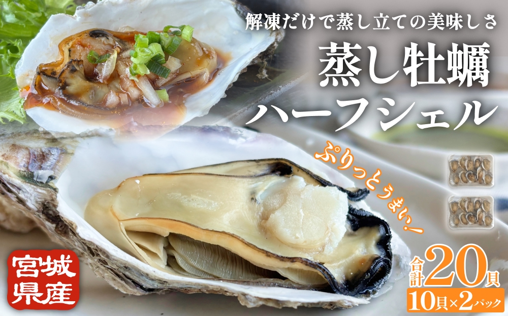 宮城県産 蒸し牡蠣 ハーフシェル 10貝 2P セット （ 計20貝 ） 牡蠣 かき カキ 貝 加熱調理済 海鮮 魚介 魚介類 冷凍 宮城県 宮城 石巻市 石巻
