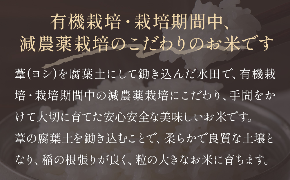 米 令和7年産 つや姫  精米 5kg 単品 こめ コメ お米 ご飯 白米 ツヤ姫 防災減災