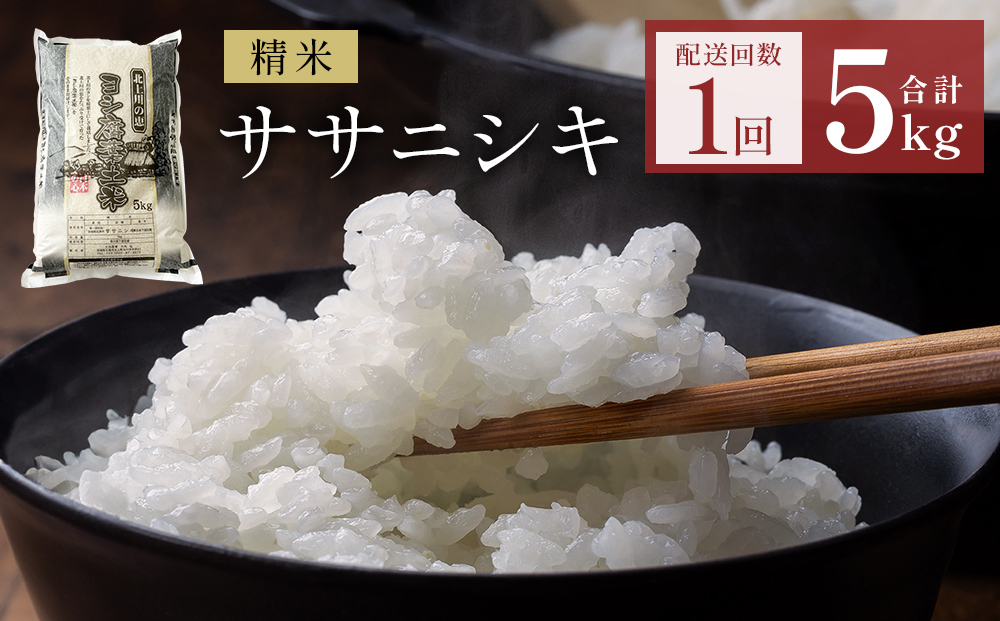 米 令和7年産 ササニシキ 精米 5kg 単品 こめ コメ お米 ご飯 白米 ささにしき 防災減災