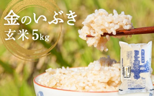 令和7年産 金のいぶき（玄米）5kg 防災減災