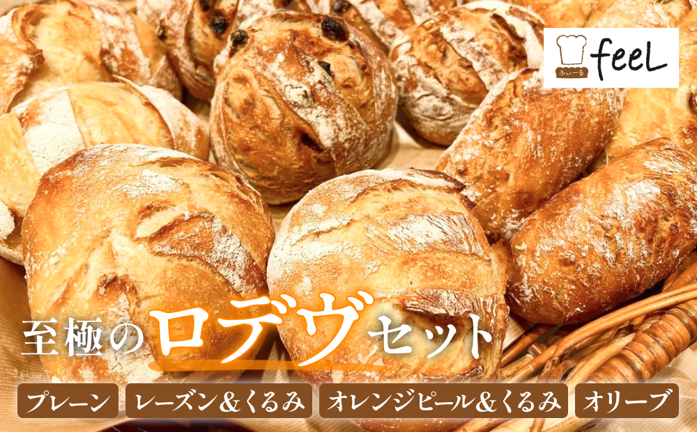 パン工房ふぃーる ロデヴ 4種類 セット パン 自家製酵母 モチモチ  プレーン レーズン くるみ オレンジピール オリーブ ハード系 冷凍 宮城県 宮城 石巻市 石巻