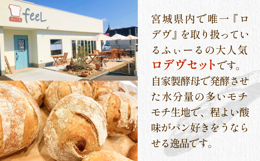 パン工房ふぃーる ロデヴ 4種類 セット パン 自家製酵母 モチモチ  プレーン レーズン くるみ オレンジピール オリーブ ハード系 冷凍 宮城県 宮城 石巻市 石巻